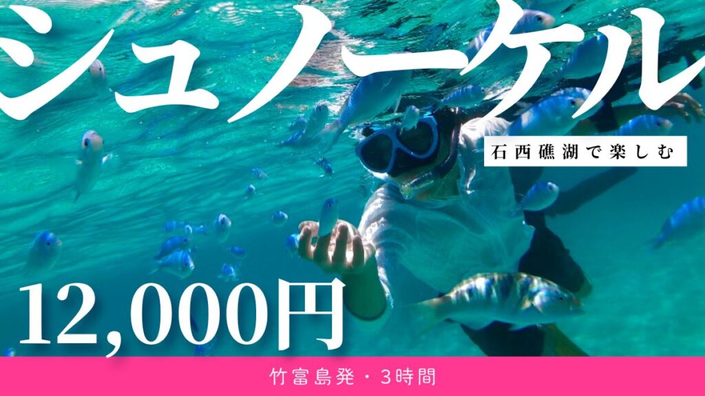 竹富島でシュノーケル