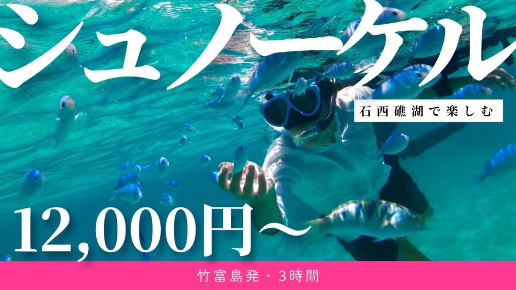 竹富島シュノーケリングツアー