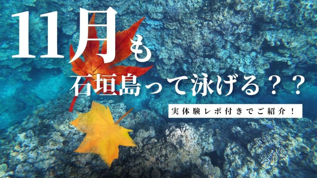 11月の石垣島の水温とシュノーケリングは可能か