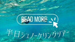 石垣島で貸切シュノーケリングツアーに参加する