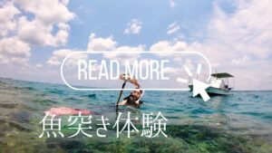 石垣島の魚突き体験を詳しく見る