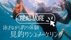 石垣島で釣りとシュノーケリングを同時に体験する見釣りツアーの詳細