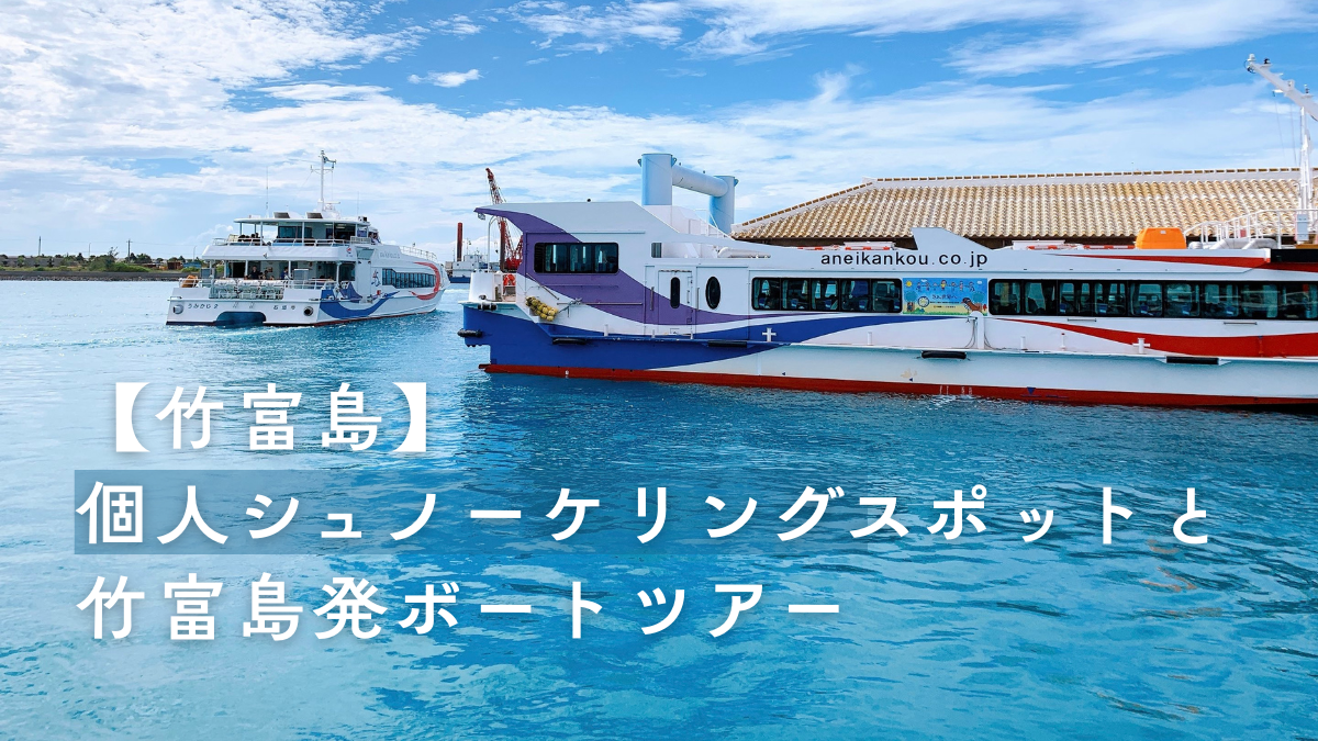 竹富島で個人シュノーケリング