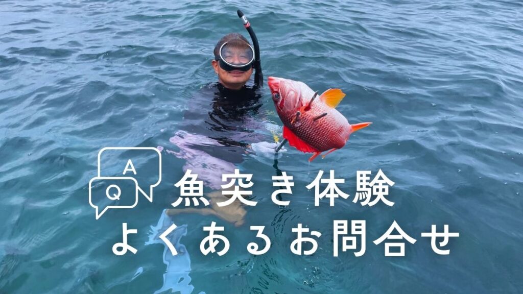 石垣島で魚突き体験
