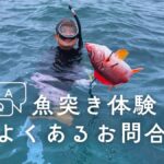 石垣島で魚突き体験