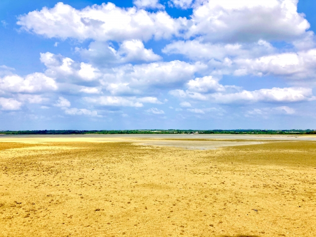 サニツ浜で浜下り・サニズ