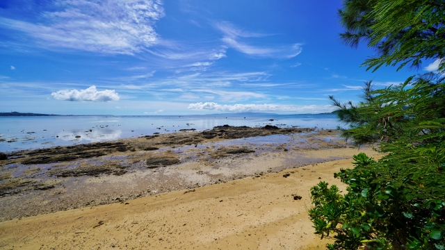 名蔵湾で浜下り・サニズ