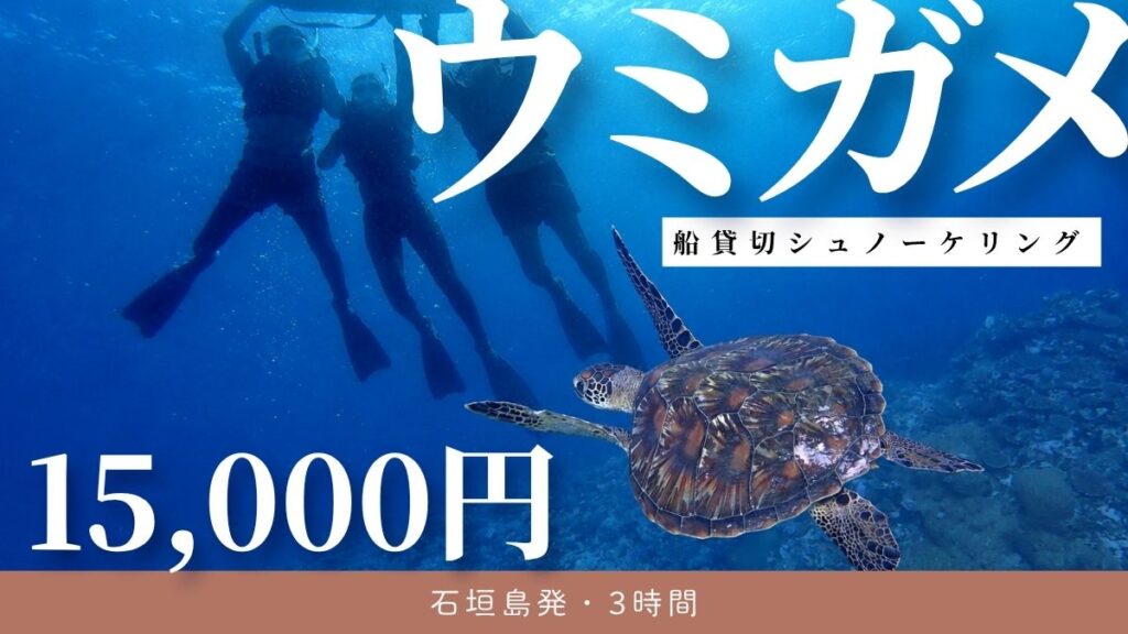 ウミガメシュノーケリング石垣島発貸切チャーターツアー