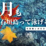 11月の石垣島の水温とシュノーケリングは可能か