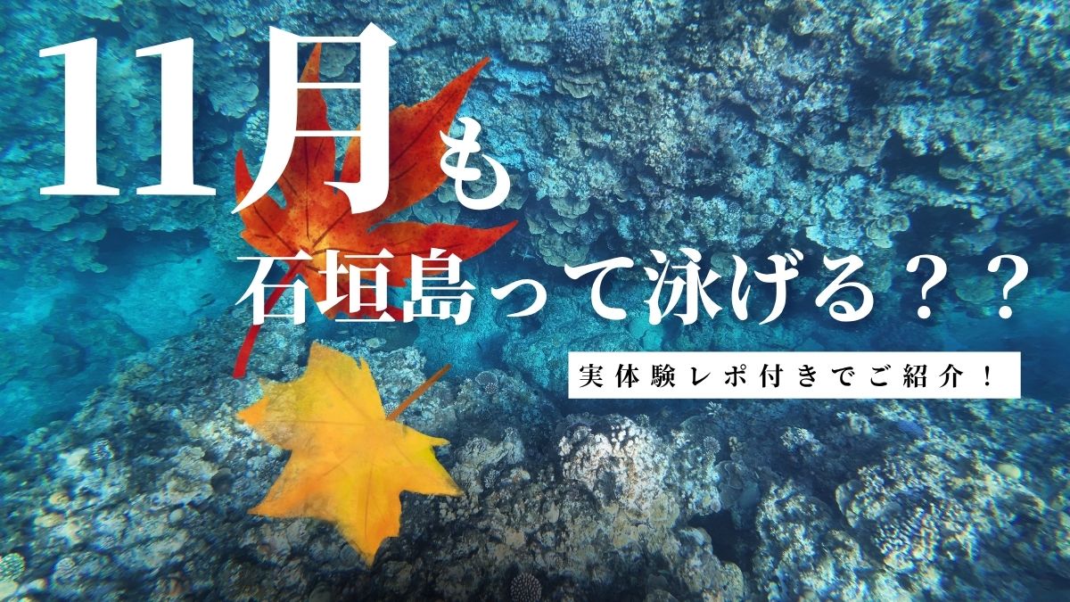 11月の石垣島の水温とシュノーケリングは可能か